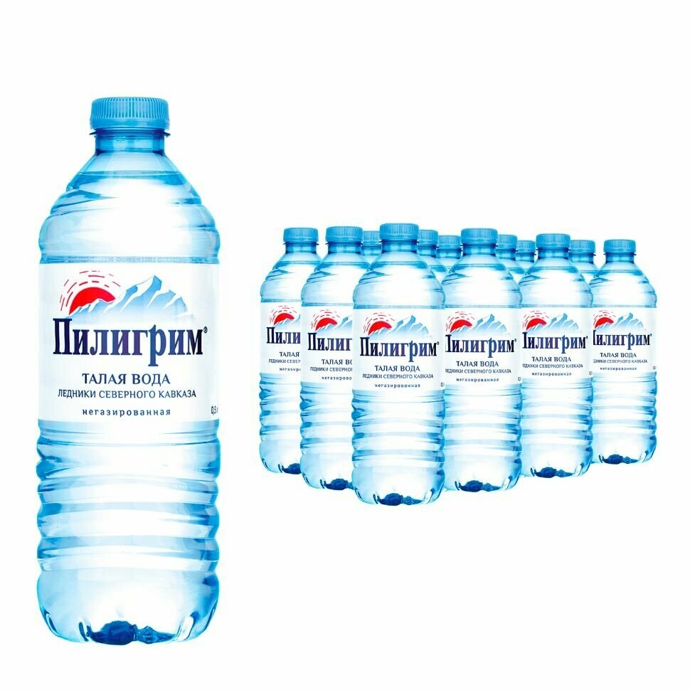 Вода Пилигрим 0,5л н/газ п/эт