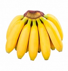 Банан (вес) Бэби Эквадор