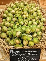Фундук (вес) молочный молодой Россия