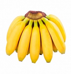Банан (вес) Бэби Эквадор