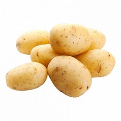 Картофель (вес) Белый Молодой Израиль