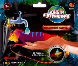Игрушка Юный натуралист Ящерица волшебная меняет цвет в воде в асс РТ-01477